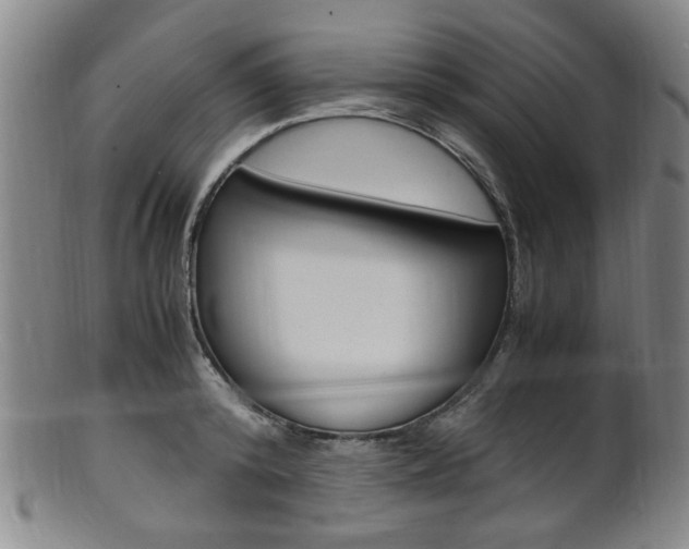 X0000101660800200807101024