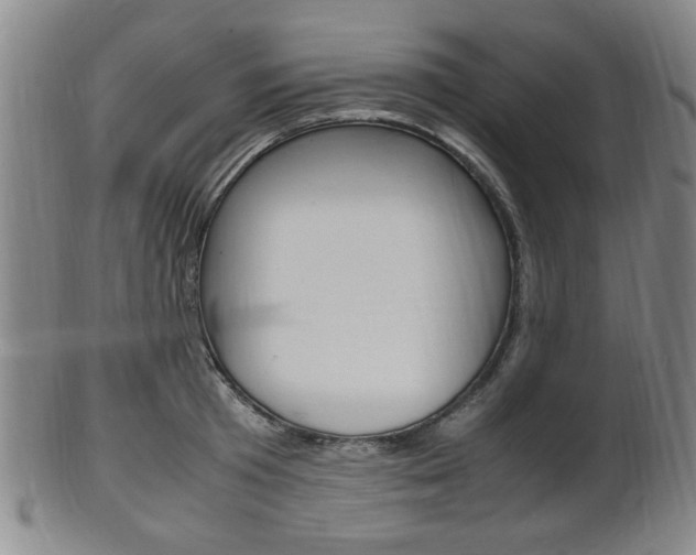 X0000101660801200807101024