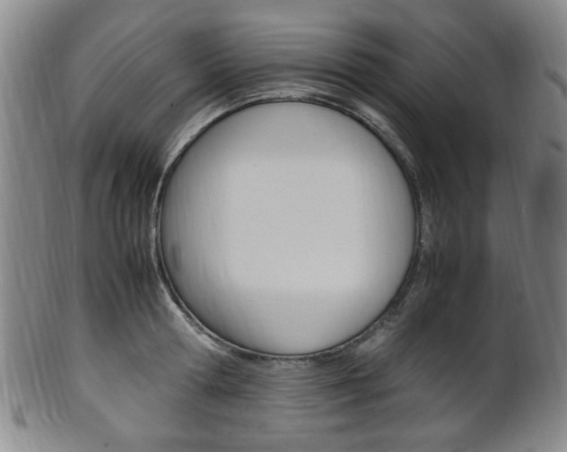 X0000101660802200807101024