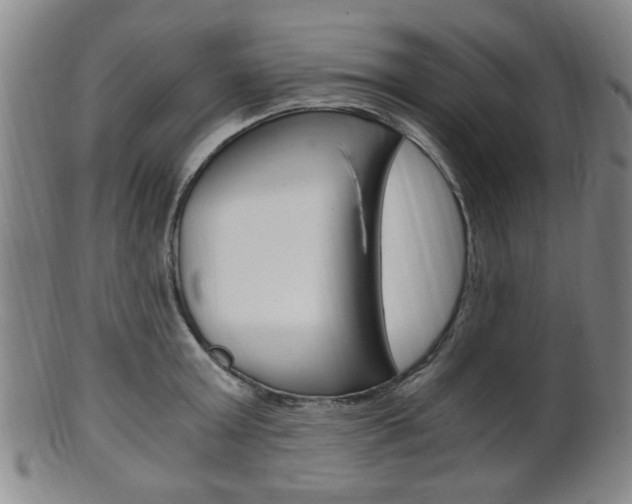 X0000101660803200807101024
