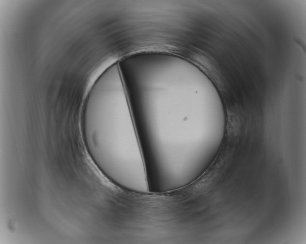 X0000101660804200807101024