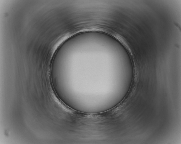 X0000101660805200807101024