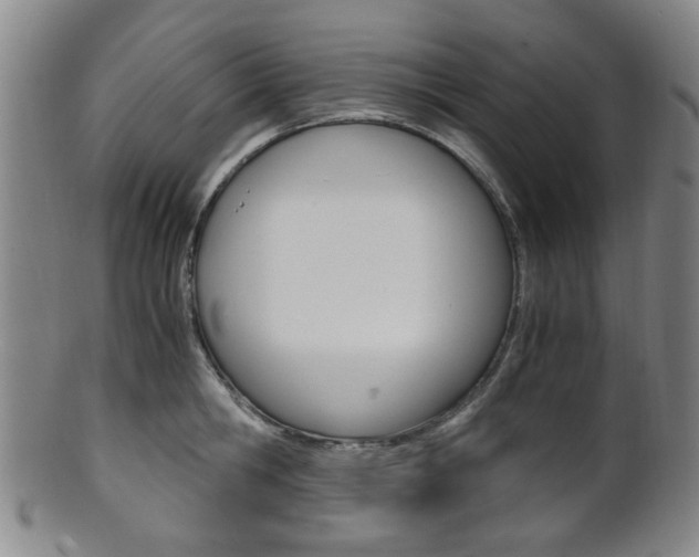 X0000101660806200807101024