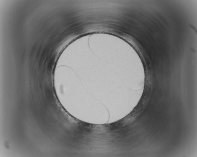 X0000101660807200807101024