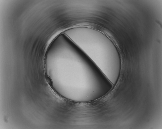 X0000101660808200807101024