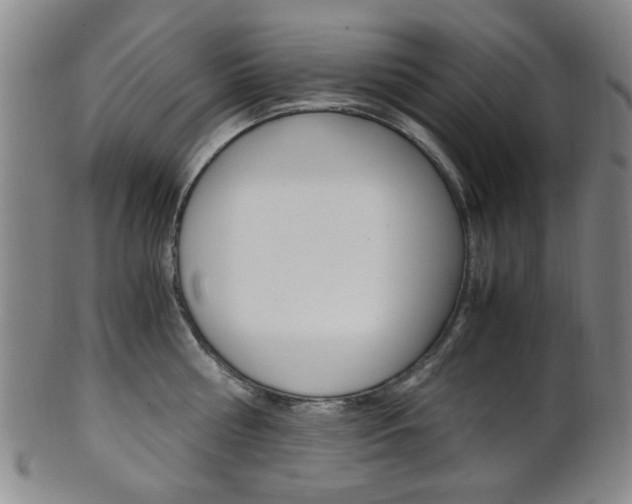 X0000101660810200807101024