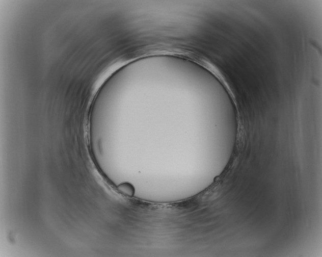 X0000101660811200807101024