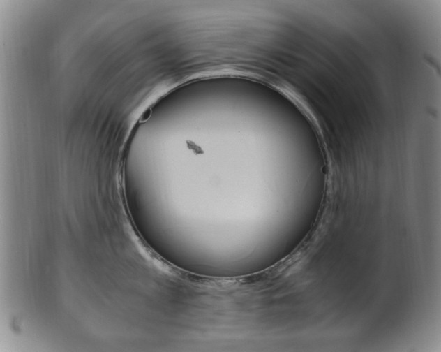 X0000101660813200807101023