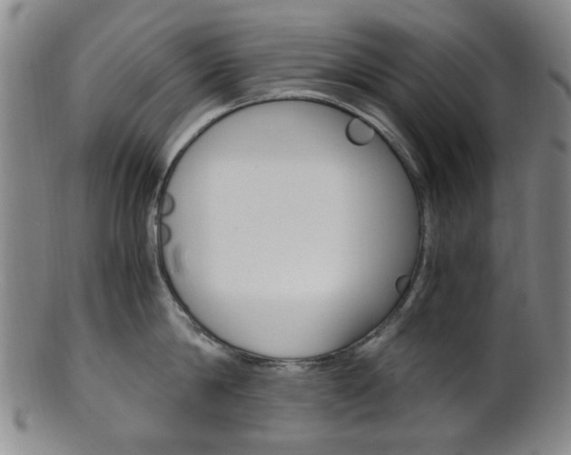 X0000101660814200807101023