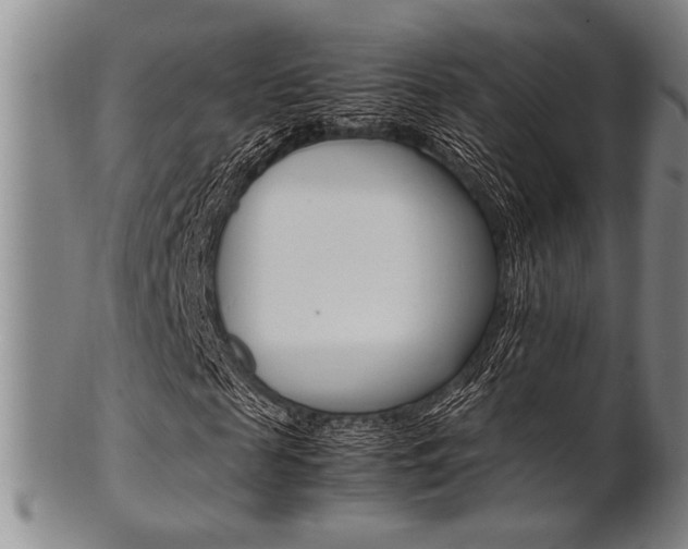 X0000101660817200807101023