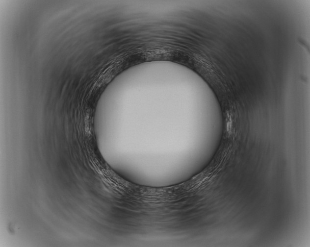 X0000101660819200807101023