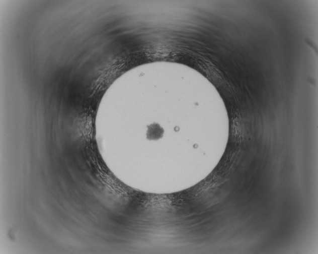 X0000101660820200807101023