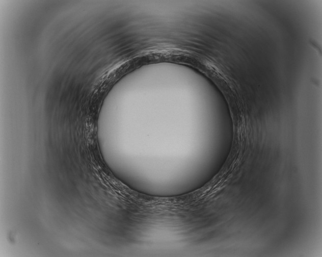 X0000101660822200807101023