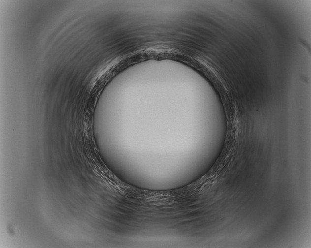 X0000101660823200807101023