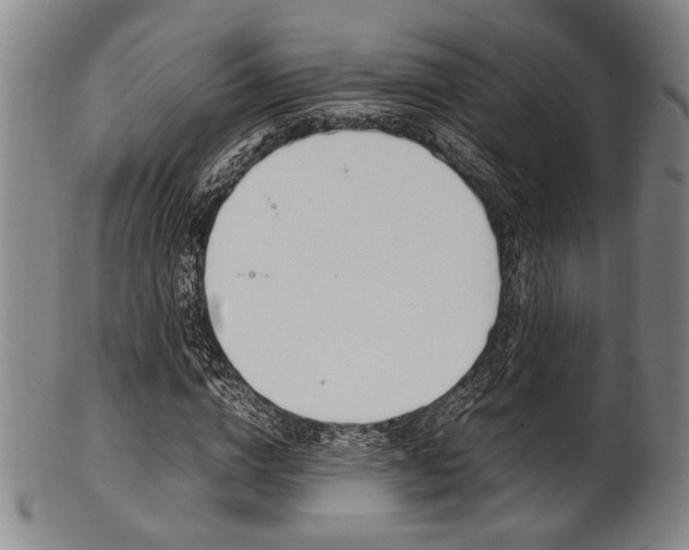 X0000101660824200807101023