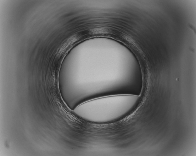 X0000101660825200807101023