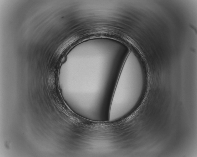 X0000101660826200807101023