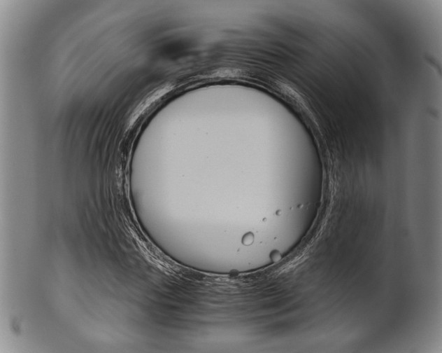 X0000101660827200807101023