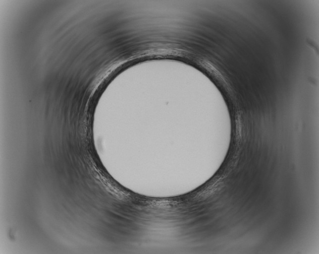 X0000101660828200807101023