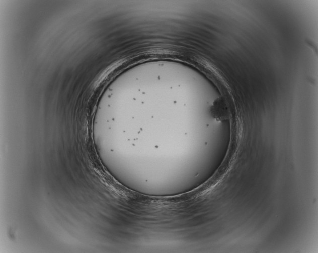 X0000101660829200807101023