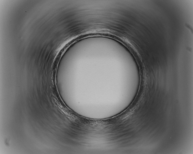 X0000101660830200807101023