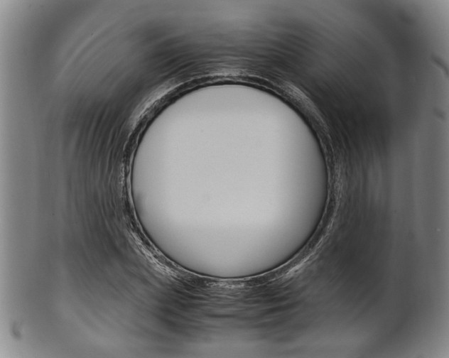 X0000101660831200807101023