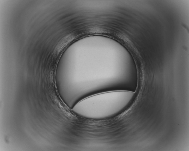 X0000101660833200807101023