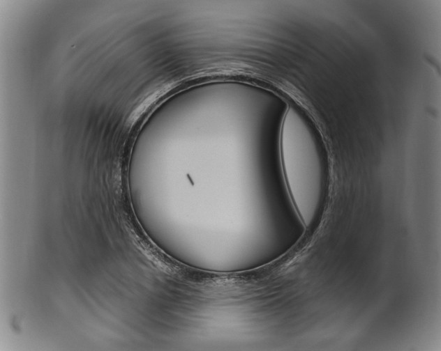 X0000101660834200807101023