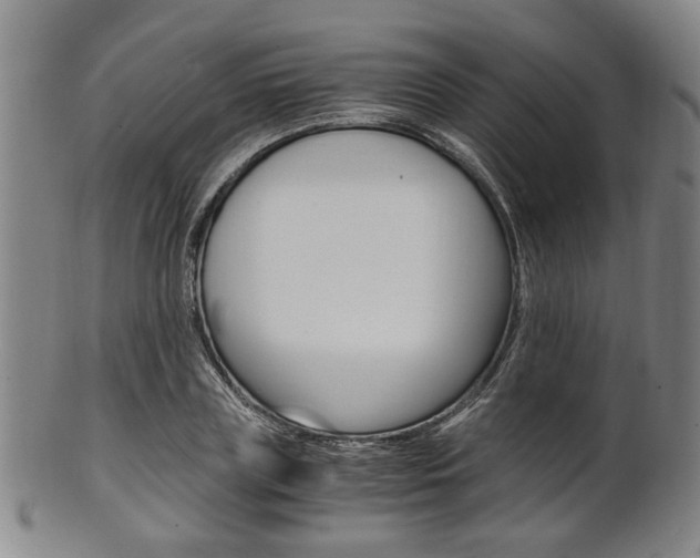 X0000101660835200807101023