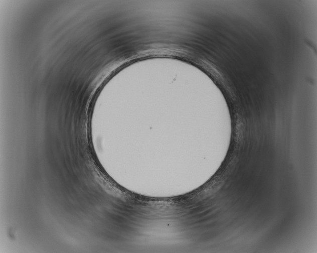 X0000101660836200807101023