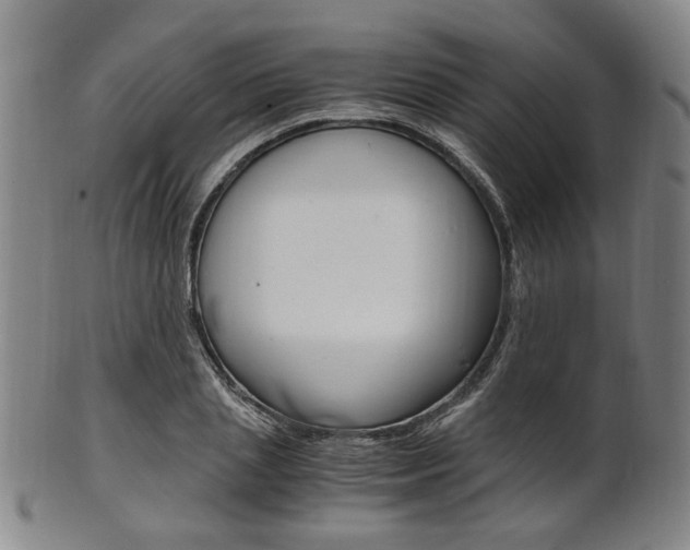 X0000101660837200807101023