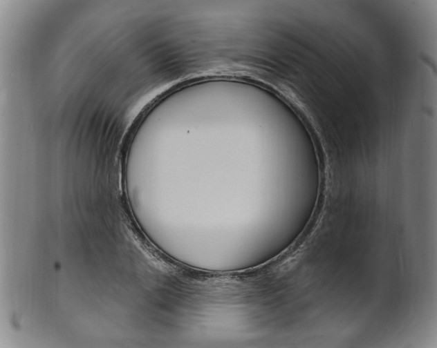 X0000101660838200807101023