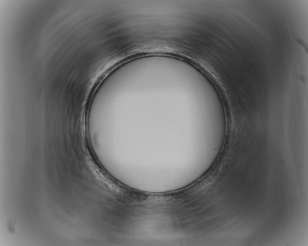X0000101660840200807101023