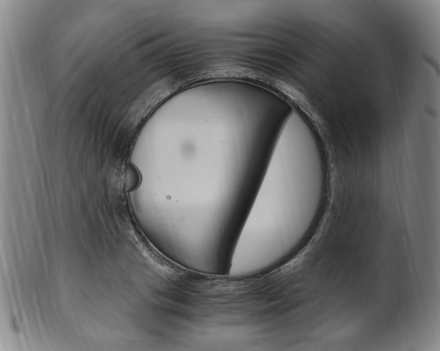 X0000101660841200807101023