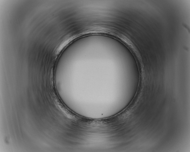 X0000101660842200807101023