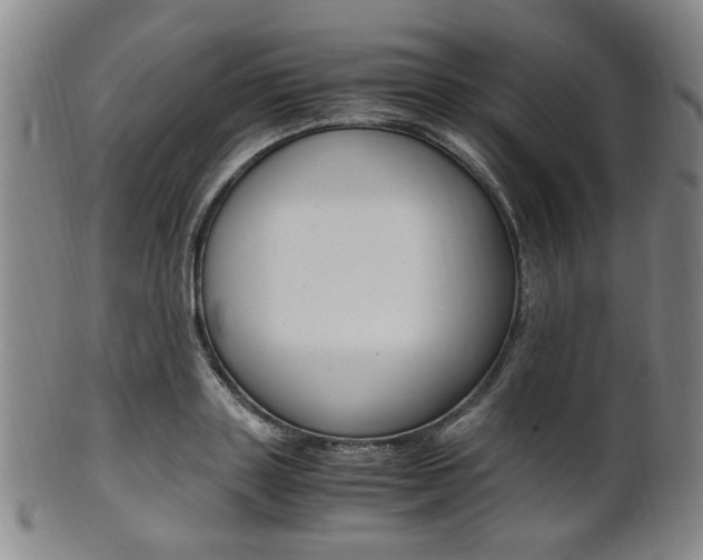 X0000101660843200807101023