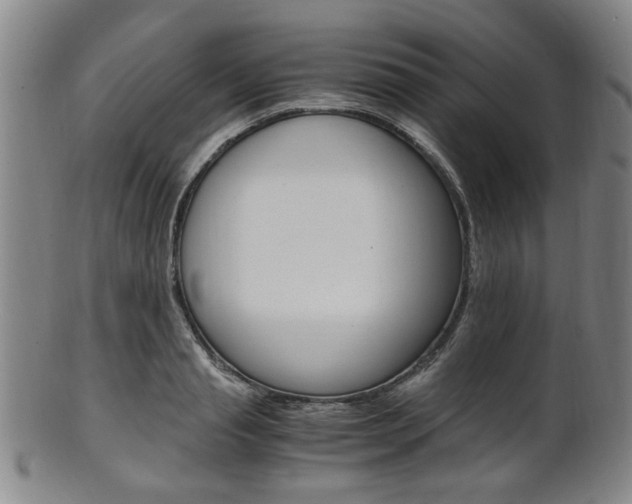X0000101660845200807101023