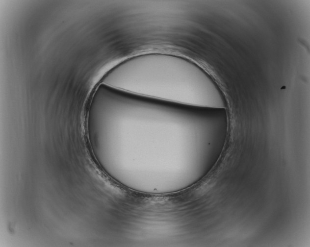 X0000101660846200807101023