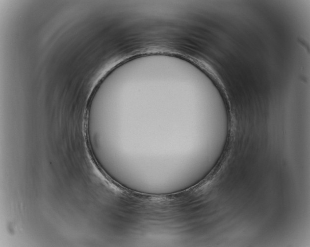 X0000101660847200807101023