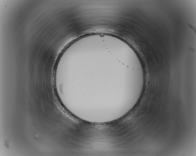 X0000101660848200807101023