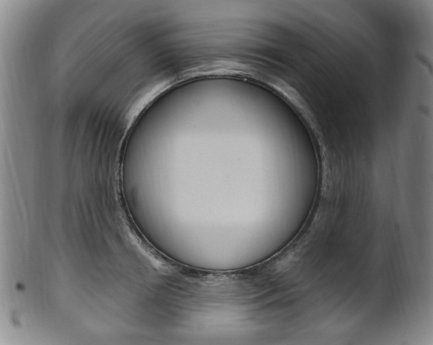 X0000101660850200807101023