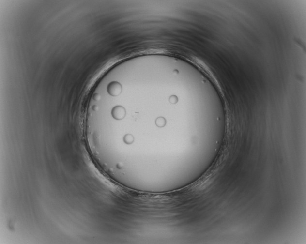 X0000101660851200807101023