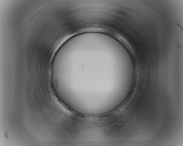 X0000101660852200807101023