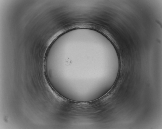 X0000101660853200807101023
