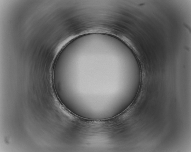 X0000101660854200807101023