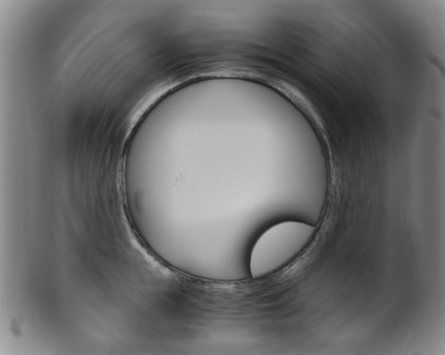X0000101660855200807101023