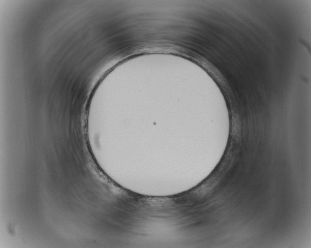 X0000101660856200807101023