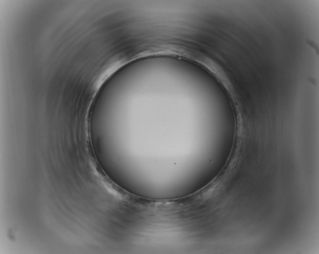 X0000101660858200807101023