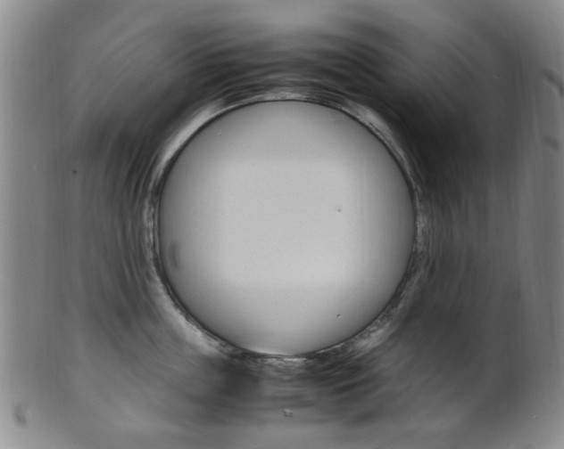 X0000101660859200807101023