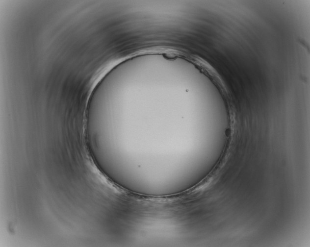 X0000101660860200807101023
